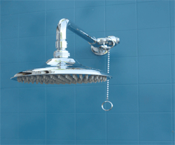 Swimming Pool Shower Head